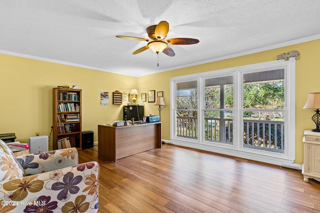 office area featuring light wood-type flooring, a wealth of natural light, a textured ceiling, and crown molding