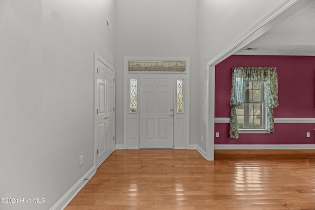 entrance foyer with light hardwood / wood-style flooring