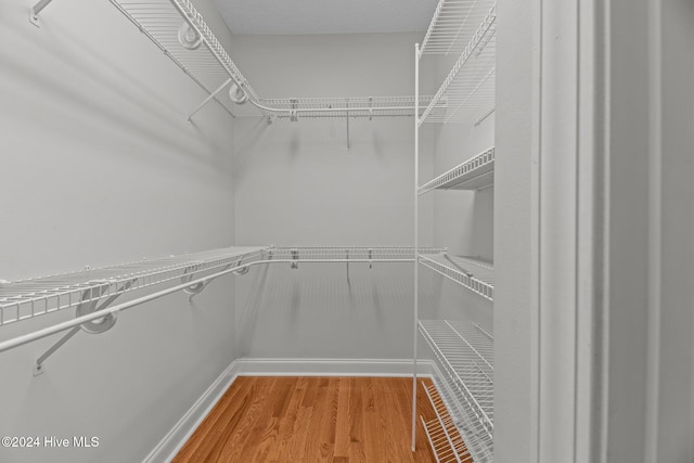 spacious closet featuring wood-type flooring