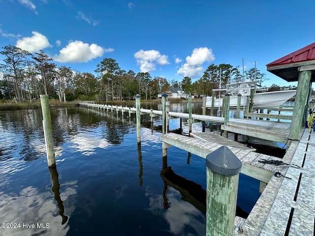 dock area featuring a water view