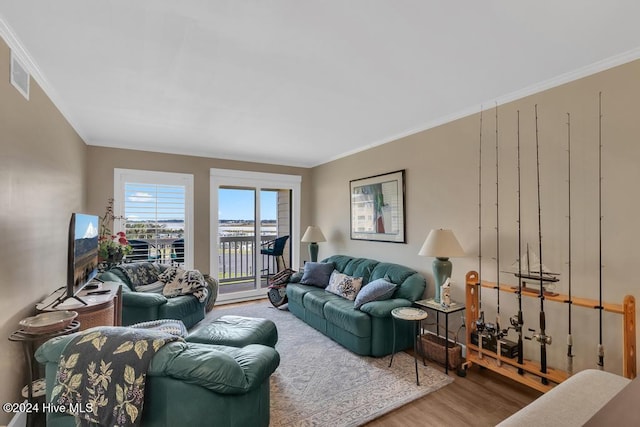 living room with crown molding and wood-type flooring