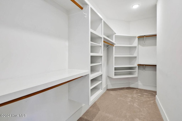 spacious closet featuring light carpet