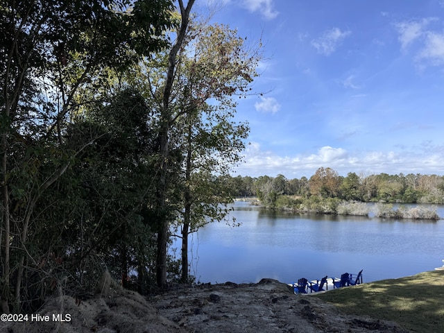 217 Shoreview Dr, New Bern, NC 28562