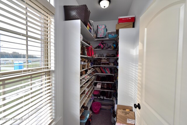 view of spacious closet