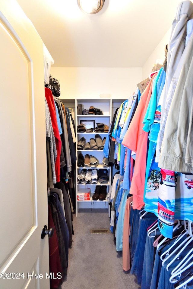 spacious closet featuring carpet floors