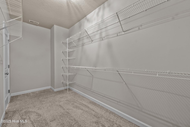 walk in closet featuring carpet floors