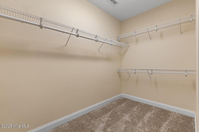 spacious closet featuring carpet