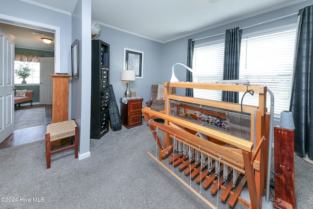 interior space with ornamental molding, carpet floors, and a textured ceiling