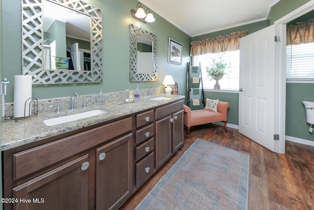 bathroom featuring hardwood / wood-style flooring, ornamental molding, plenty of natural light, and vanity