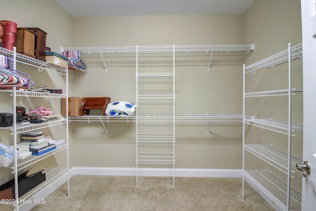 walk in closet with carpet floors