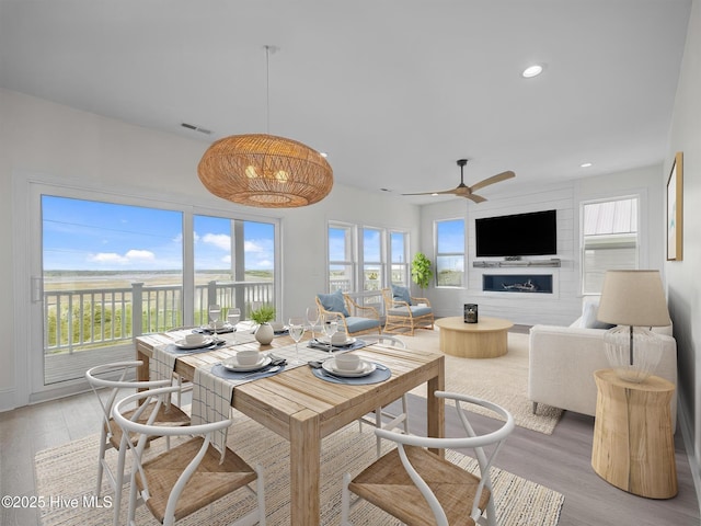 dining room with ceiling fan and light hardwood / wood-style floors