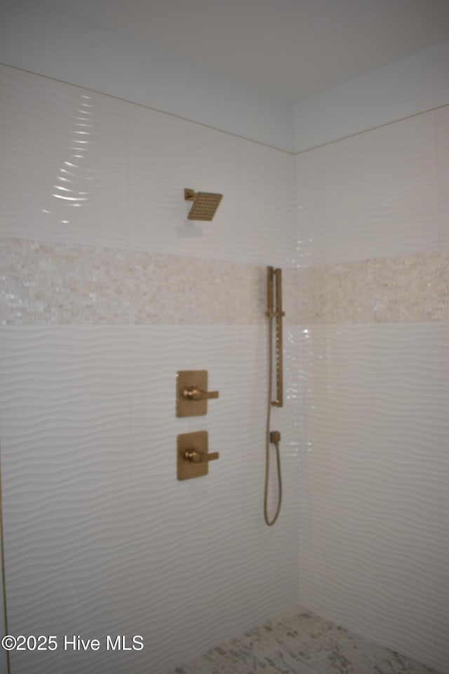 109 Old Village Ln, North Topsail Beach, NC 28460 - bathroom view of a tile shower