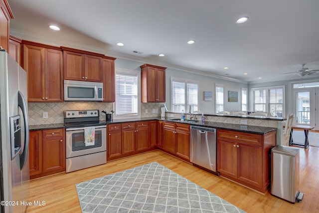 kitchen with ornamental molding, light wood-type flooring, appliances with stainless steel finishes, and ceiling fan