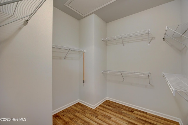 walk in closet with hardwood / wood-style flooring