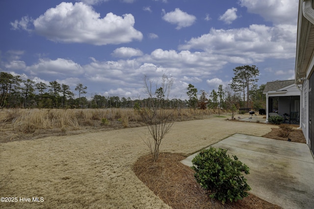 view of yard featuring a patio