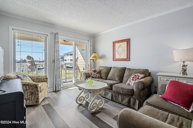 living room featuring a textured ceiling, light hardwood / wood-style floors, and crown molding