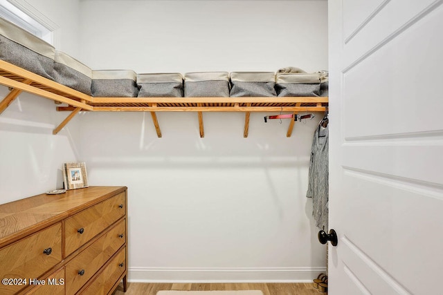 spacious closet featuring light hardwood / wood-style floors