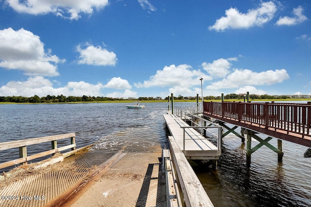 dock area with a water view