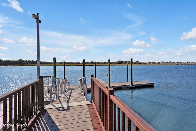 dock area with a water view