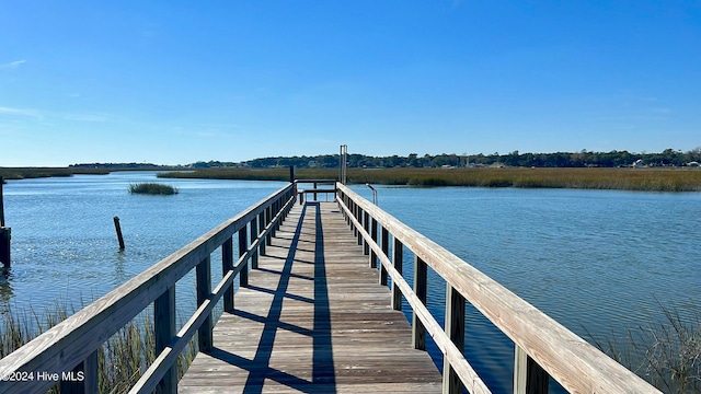 dock area with a water view