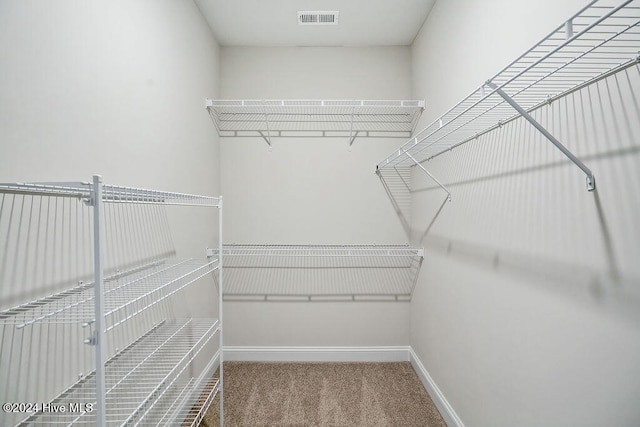 spacious closet featuring carpet flooring