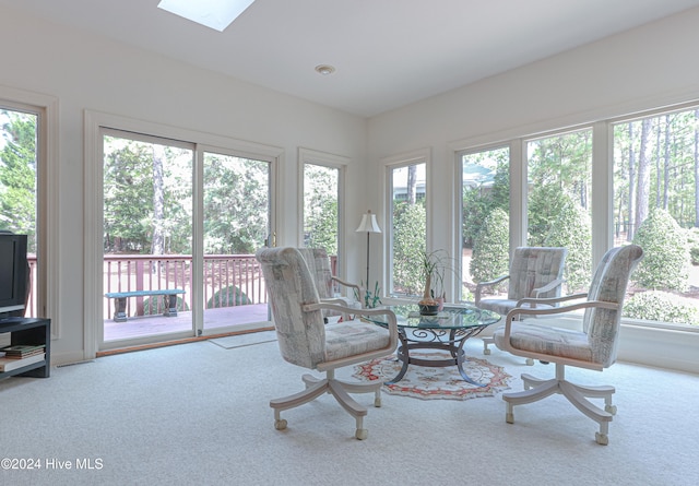 sunroom with a skylight and plenty of natural light