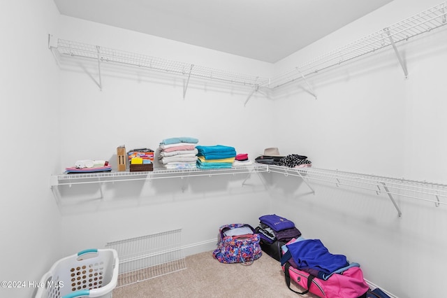 spacious closet with carpet flooring