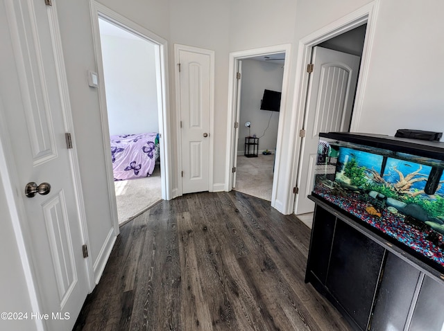 corridor with dark hardwood / wood-style floors