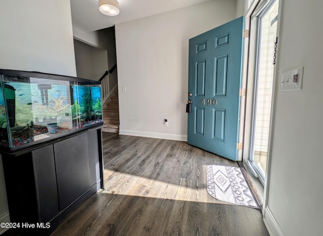 entryway featuring plenty of natural light and dark hardwood / wood-style flooring