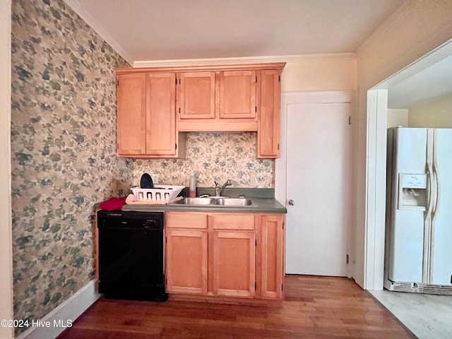 kitchen with dishwasher, dark hardwood / wood-style flooring, white refrigerator with ice dispenser, and sink