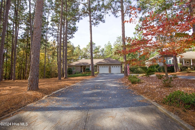 view of front facade with a garage