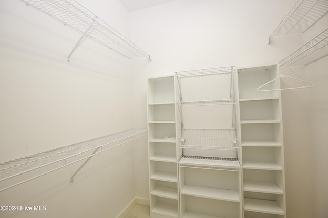 view of spacious closet