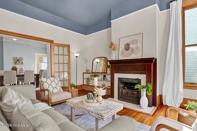 living room featuring hardwood / wood-style floors