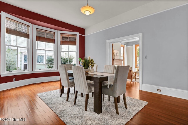 dining room featuring a wealth of natural light and hardwood / wood-style floors