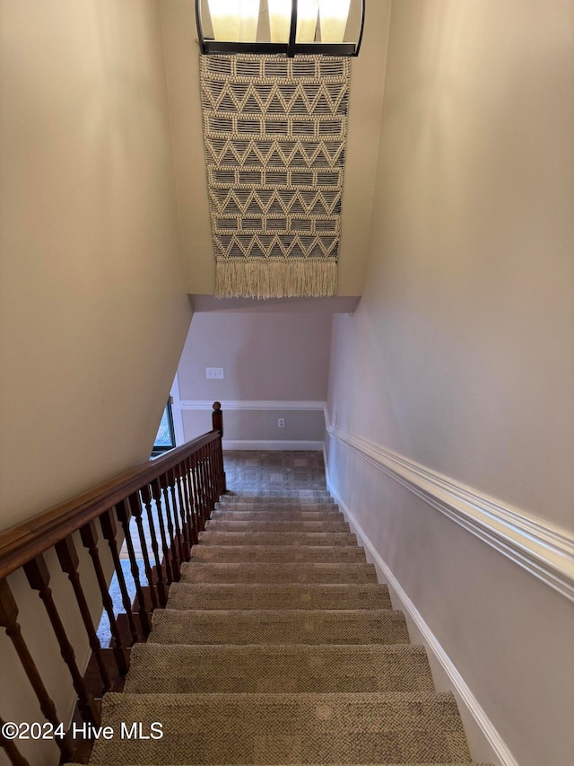 staircase featuring carpet flooring