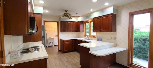 kitchen featuring white gas cooktop, light wood-type flooring, sink, kitchen peninsula, and ceiling fan