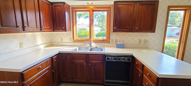 kitchen featuring dishwasher and sink