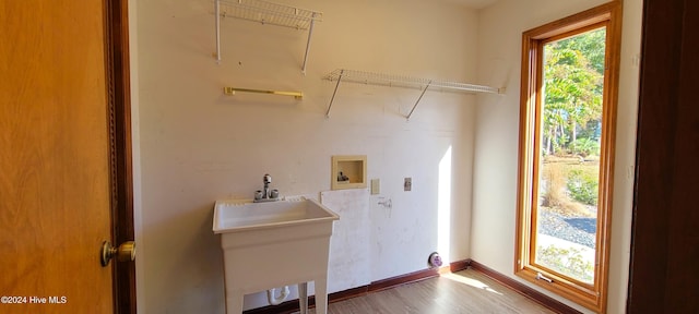 laundry room with washer hookup, sink, and hardwood / wood-style flooring