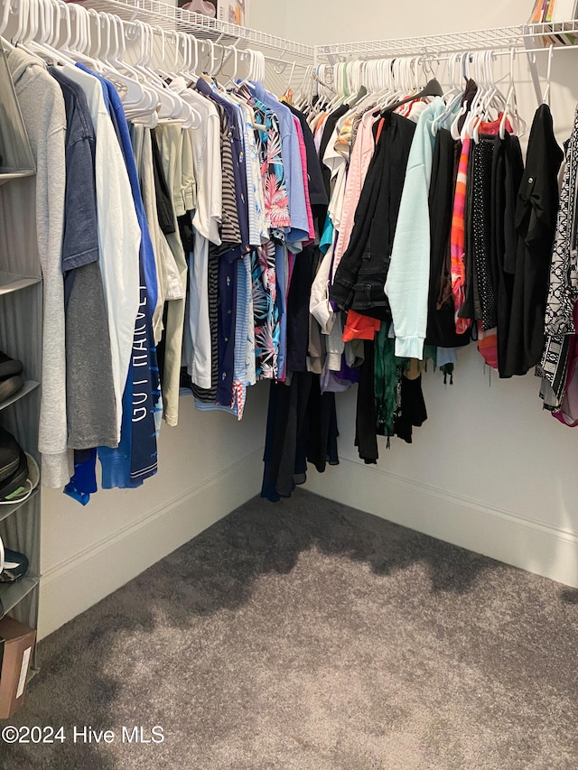 spacious closet featuring carpet flooring