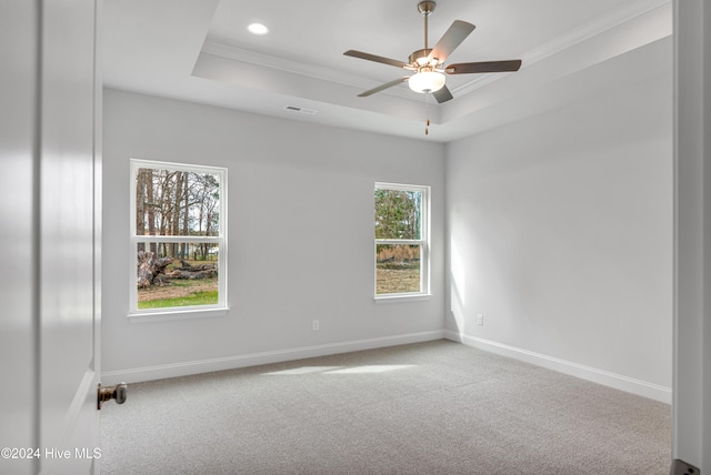 spare room featuring ceiling fan, a healthy amount of sunlight, a raised ceiling, and crown molding