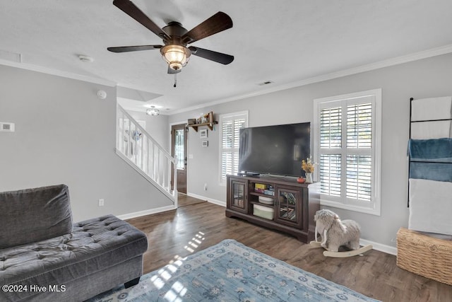 living room featuring dark hardwood / wood-style flooring, ceiling fan, and ornamental molding