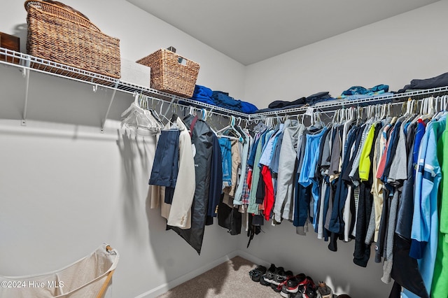 spacious closet with carpet