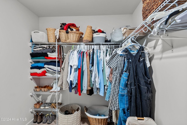 view of spacious closet