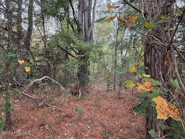 00 Wooten Rd, Maple Hill NC, 28454 land for sale