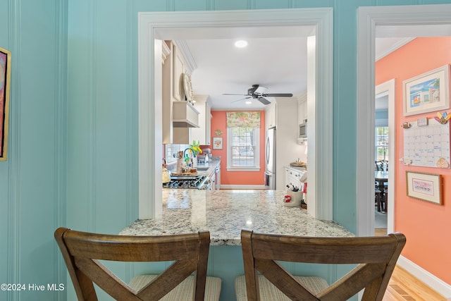 kitchen featuring plenty of natural light, light wood-type flooring, light stone countertops, and stainless steel appliances