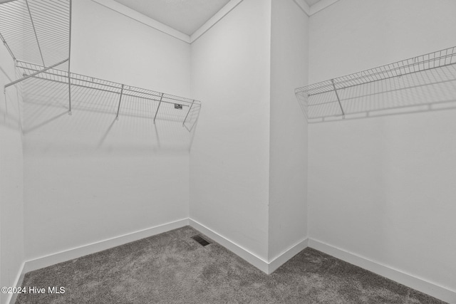 spacious closet featuring carpet floors