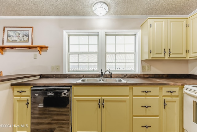 kitchen with dishwasher, a textured ceiling, a wealth of natural light, and sink