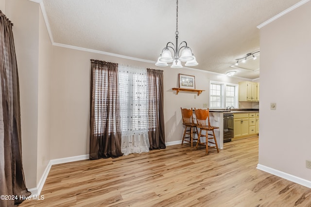 unfurnished dining area featuring crown molding, light hardwood / wood-style floors, and a textured ceiling