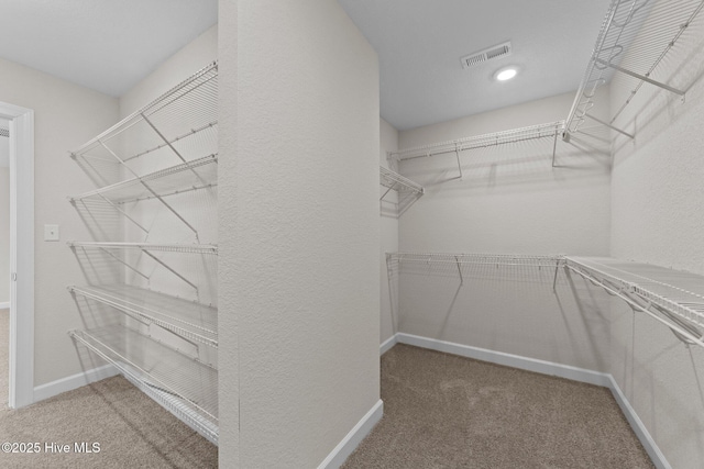 walk in closet featuring carpet floors and visible vents