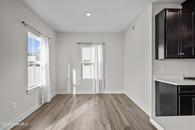 interior space with light hardwood / wood-style floors and a healthy amount of sunlight